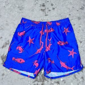 EUC Old Navy Nautical Print Swim Trunks Lined Side and Back Flap Pockets XL💗